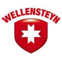 Wellensteyn